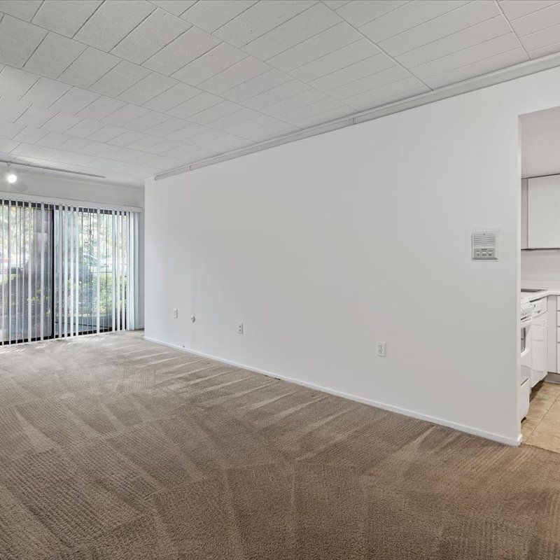 interior of Apt. 14