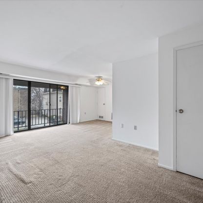 Apt. 31