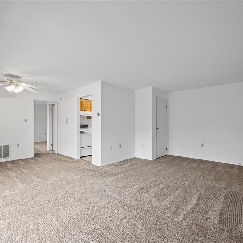 interior of Apt. 31