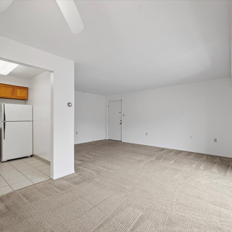 interior of Apt. 31